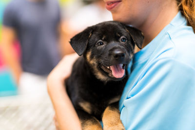 Midsection of woman holding puppy