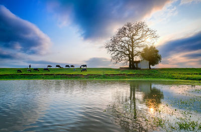 Scenic view of lake against sky