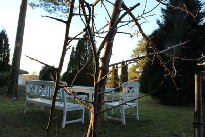 Empty chair on playground against trees