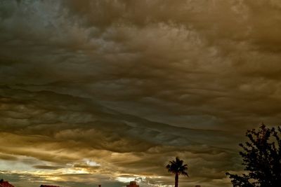 Low angle view of trees against sky