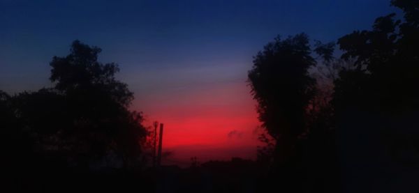 Silhouette trees against sky during sunset