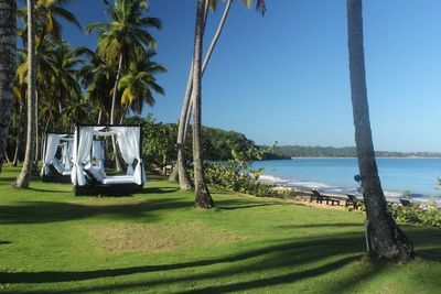 Lounge chairs on palm tree by sea against clear sky