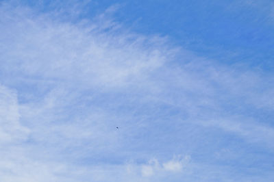 Low angle view of eagle flying against blue sky