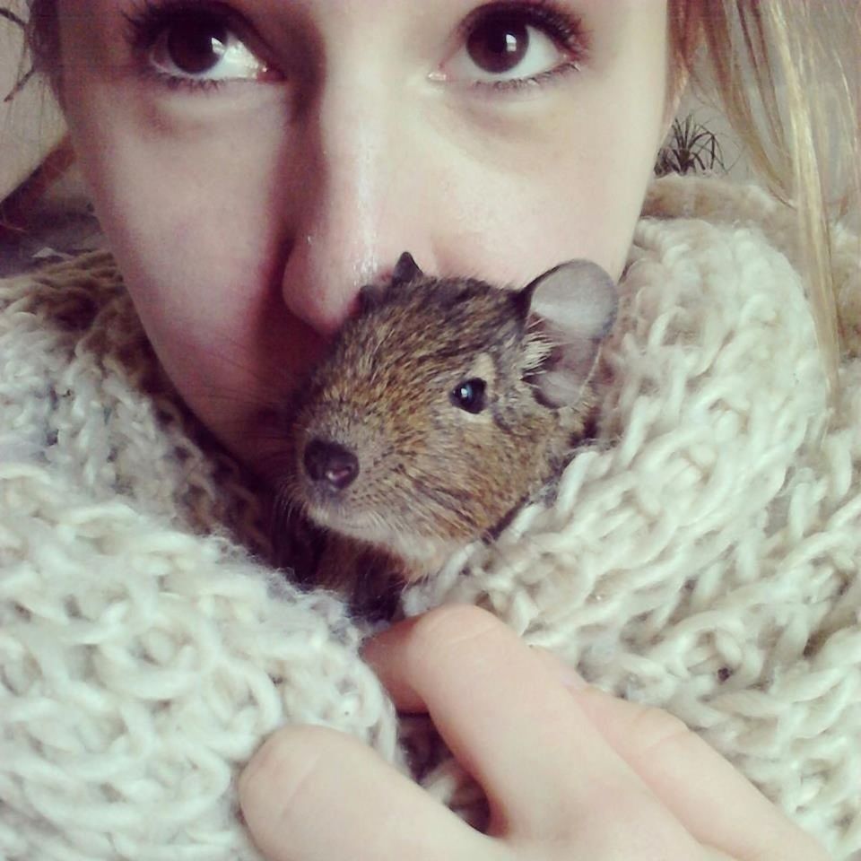 indoors, looking at camera, portrait, person, lifestyles, headshot, close-up, young adult, front view, animal themes, young women, leisure activity, holding, one animal, cute, home interior