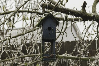 Close-up of birdhouse hanging on tree