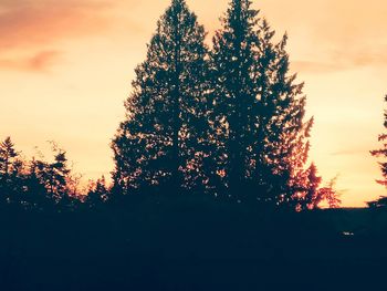 Low angle view of silhouette trees against sky during sunset