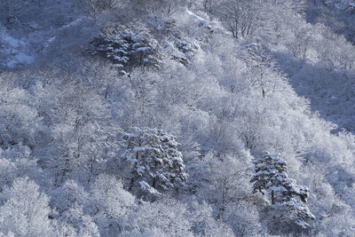 High angle view of snow covered land