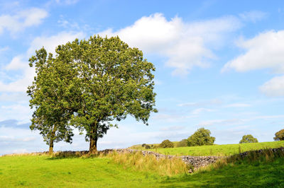 Castleton countryside in the peak district national park