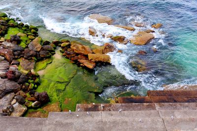 High angle view of rocks at shore
