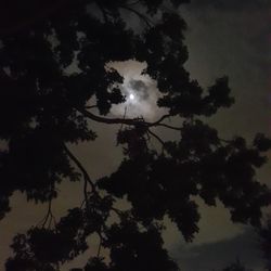 Low angle view of silhouette trees against clouds