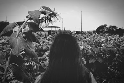 Plants against sky