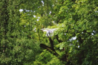 Low angle view of airplane flying against trees