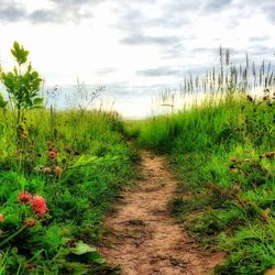 Scenic view of landscape against cloudy sky