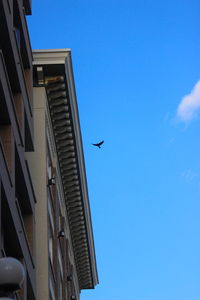 Low angle view of bird flying against blue sky