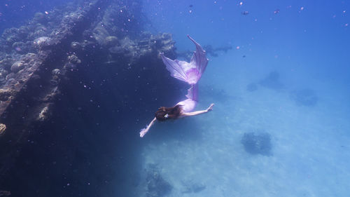 Mermaid swimming in sea