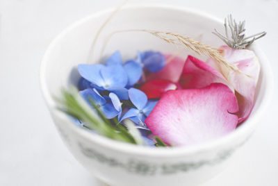 Close-up of flower petals in bowl over white background