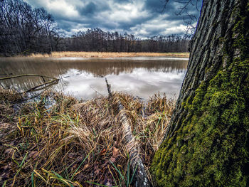 Scenic view of lake against sky