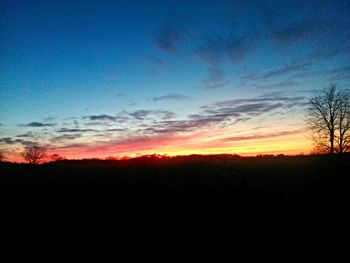 Silhouette of trees on landscape at sunset