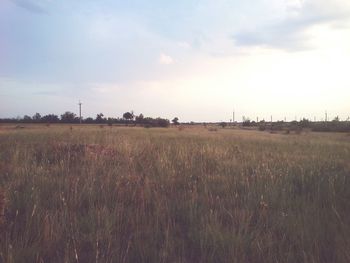 Scenic view of field against cloudy sky