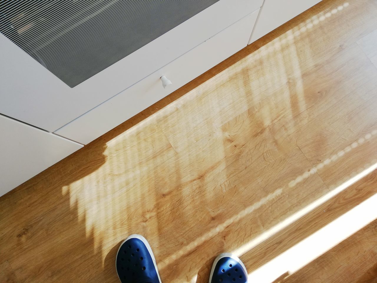 LOW SECTION OF PERSON STANDING ON HARDWOOD FLOOR