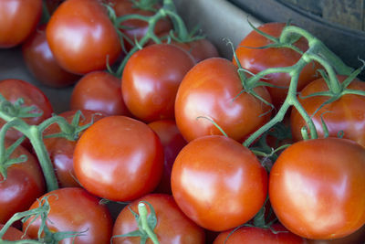 Close-up of tomatoes for sale in market