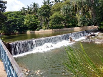 Scenic view of waterfall in forest