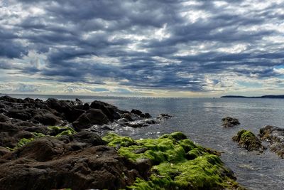 Scenic view of sea against sky