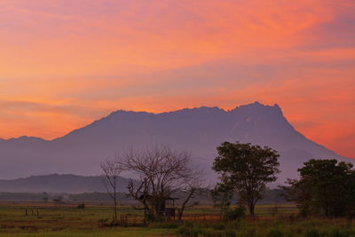 Scenic view of field against orange sky