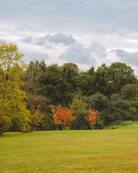 Trees on field against sky during autumn