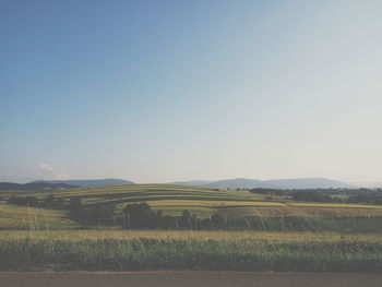 Scenic view of field against clear sky
