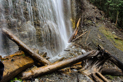 Scenic view of waterfall in forest