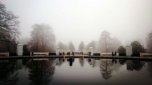 Reflection of bare trees in river