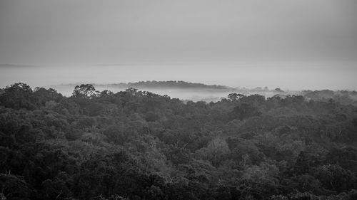 Trees on landscape against sky