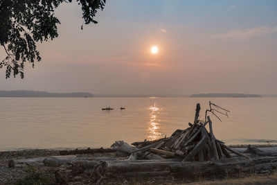 Driftwood at sea shore during sunset