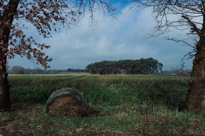 Scenic view of field against sky
