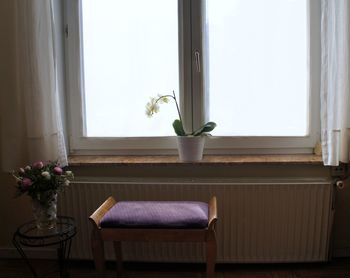 Close-up of flower vase on table at home