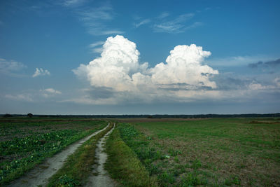 Dirt road through field and big white cloud on blue sky