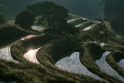 High angle view of plants and trees against sky