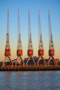 Cranes in water against blue sky