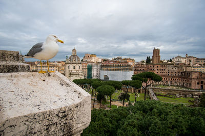Low angle view of buildings against sky
