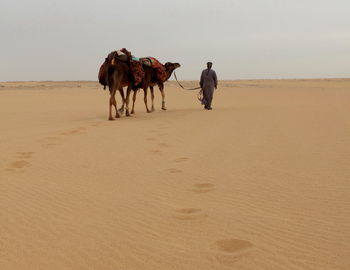 Rear view of people walking on desert