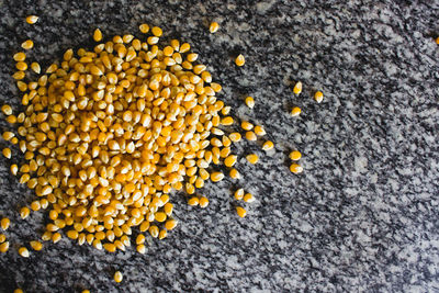 High angle view of corn on plant