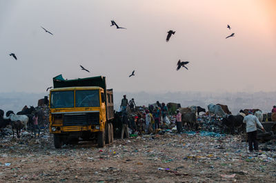 Birds flying over land against sky during sunset