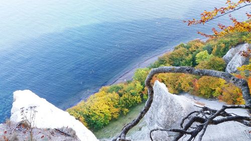 High angle view of sea by trees during autumn