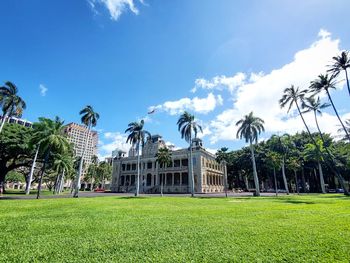 Palm trees on field against sky