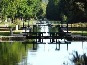 Scenic view of lake by trees in park