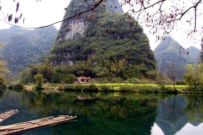 Reflection of trees in lake