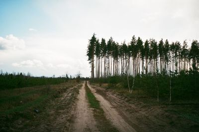 Dirt road amidst trees against sky