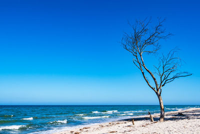 Scenic view of sea against clear blue sky