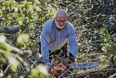 Man felling a forest with an electric chainsaw